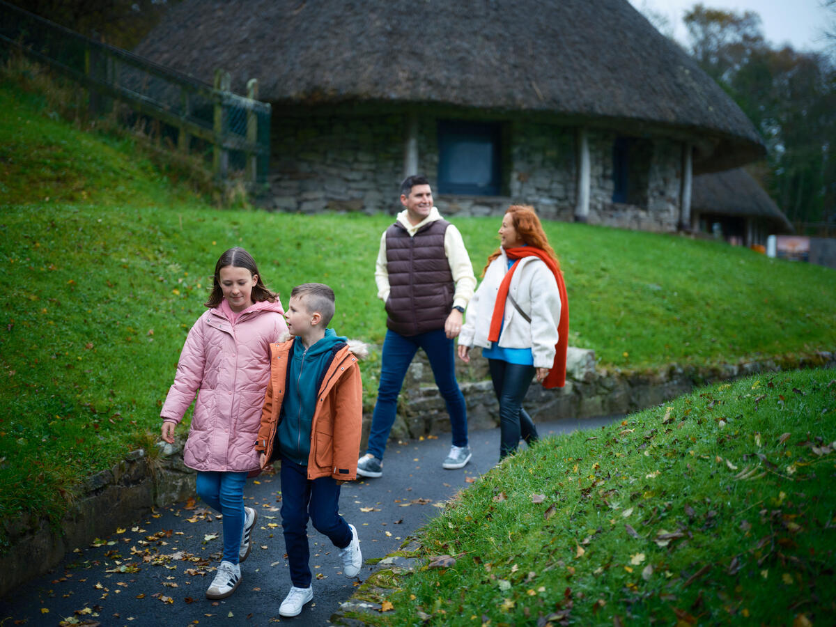Book Taxi Online for a Smooth Day Trip from Dublin to Limerick