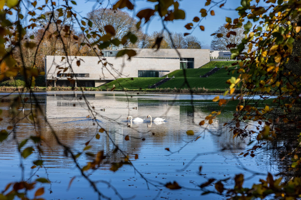 Experience Ireland’s Beauty with Day Tours from Dublin to Mayo
