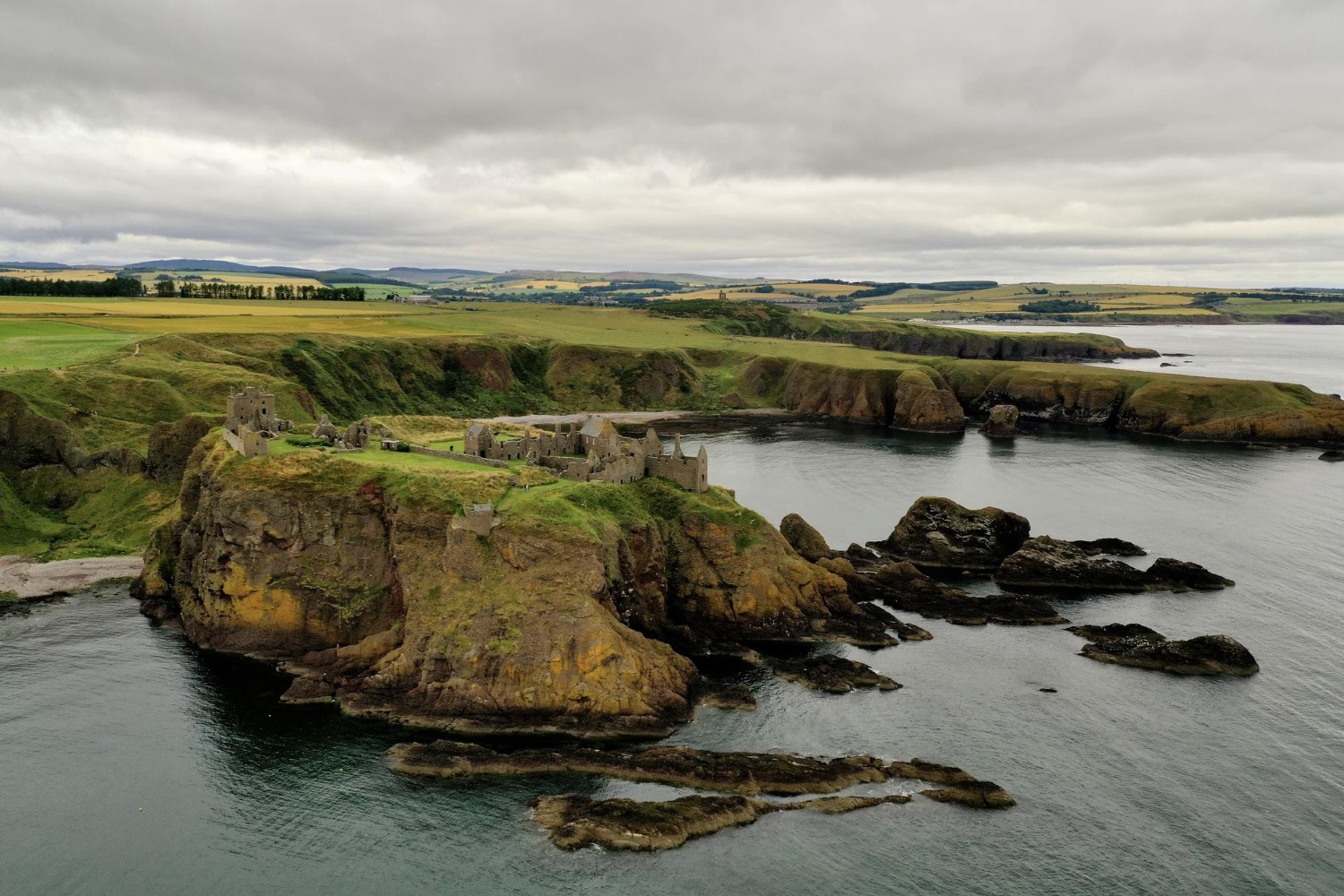 Wexford