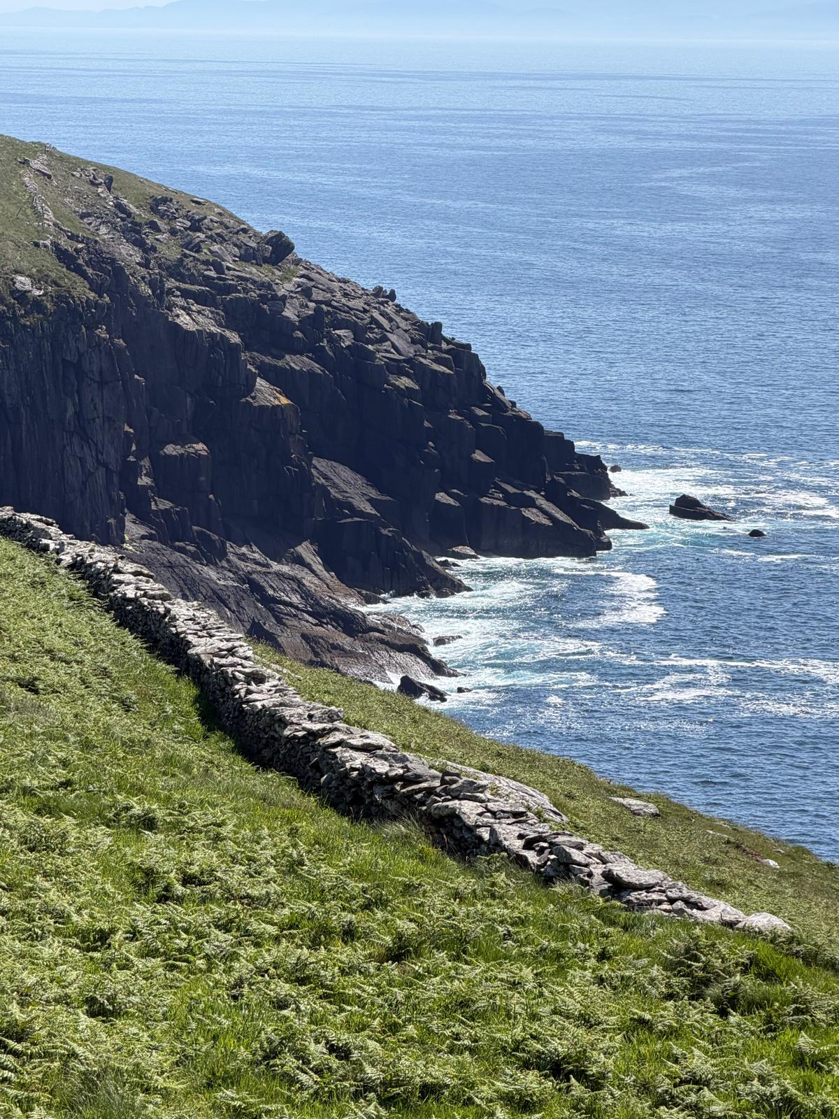 Hold a Baby Lamb in Dingle – A Heartwarming Experience for the Whole Family