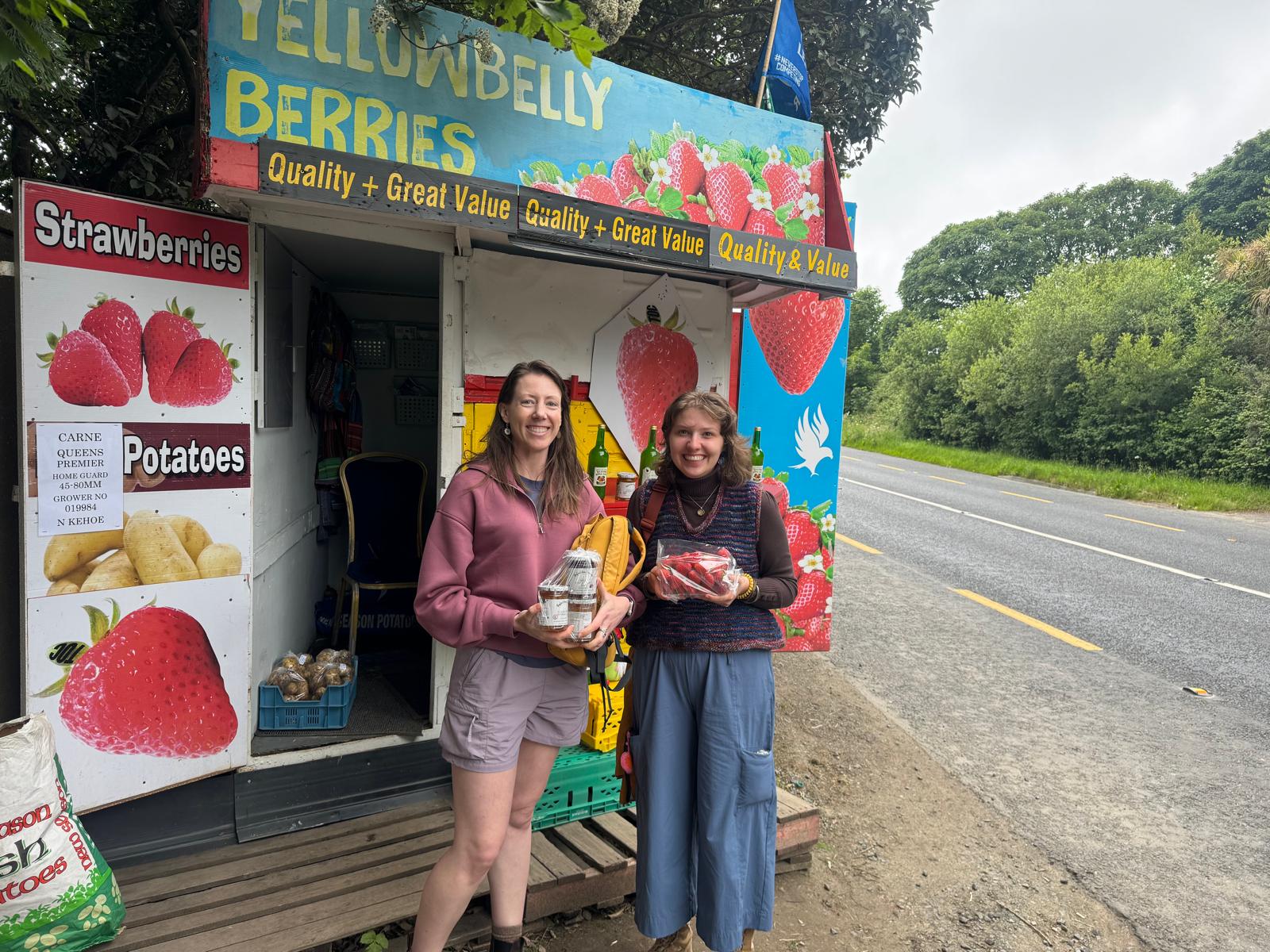 Finish Your Wexford Tour with Farm-Fresh Strawberries and Homemade Jam